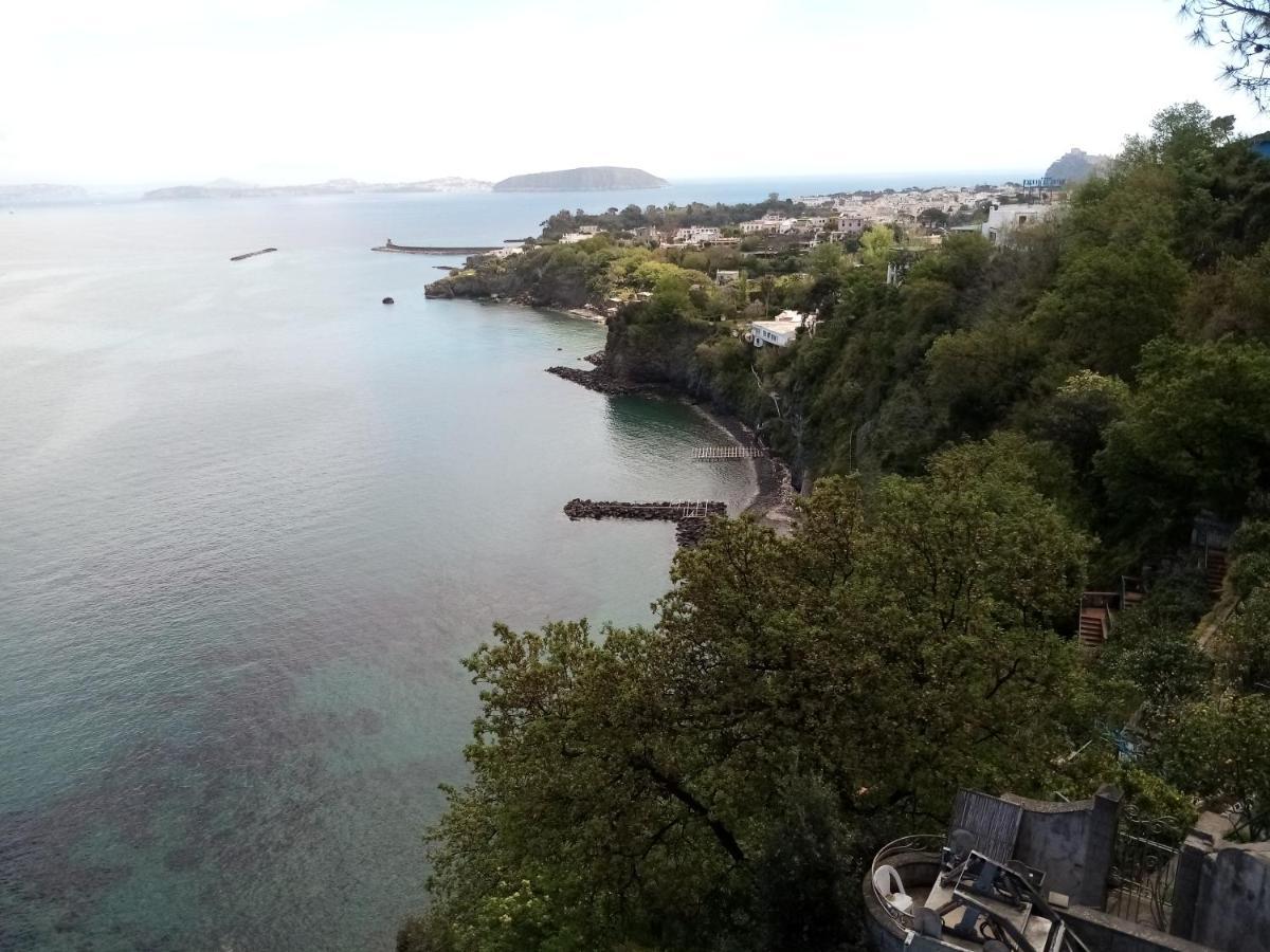 L'Incanto Suites Ischia Casamicciola Terme Ngoại thất bức ảnh